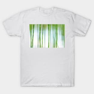 Water Horsetail T-Shirt